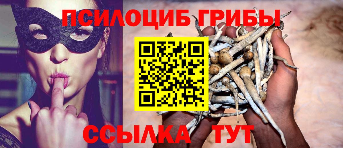 Псилоцибиновые грибы Cubensis  Псилоцибиновые грибы Psilocybe  Берёзовский  Вход с VPN 